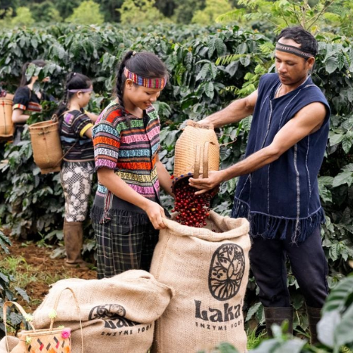 L&K coffee beans L&K coffee beans