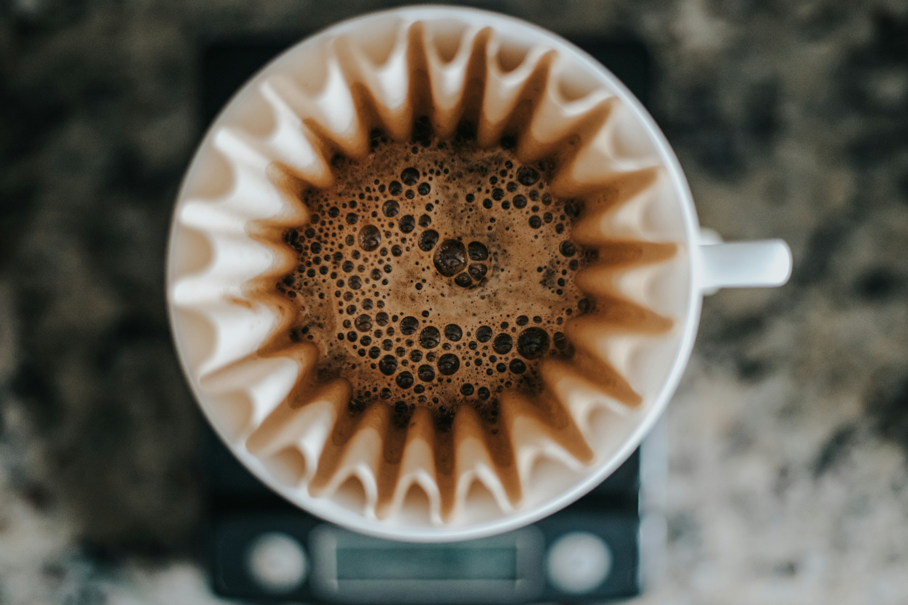 コーヒーに関する参考画像