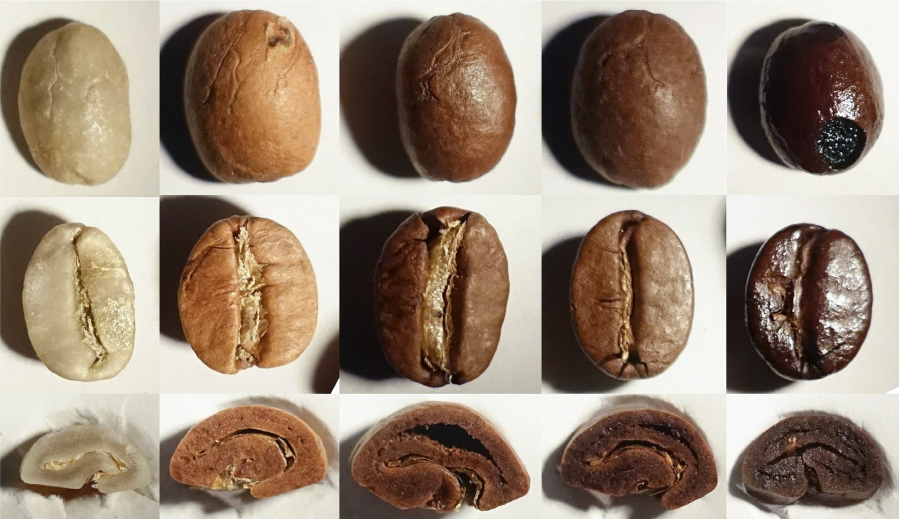 コーヒーに関する参考画像