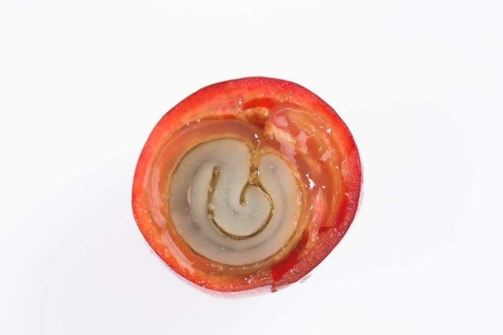 皮膚は2つの層から構成されている。